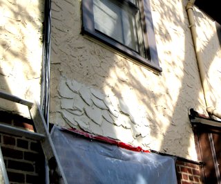 scallop texture duplicated